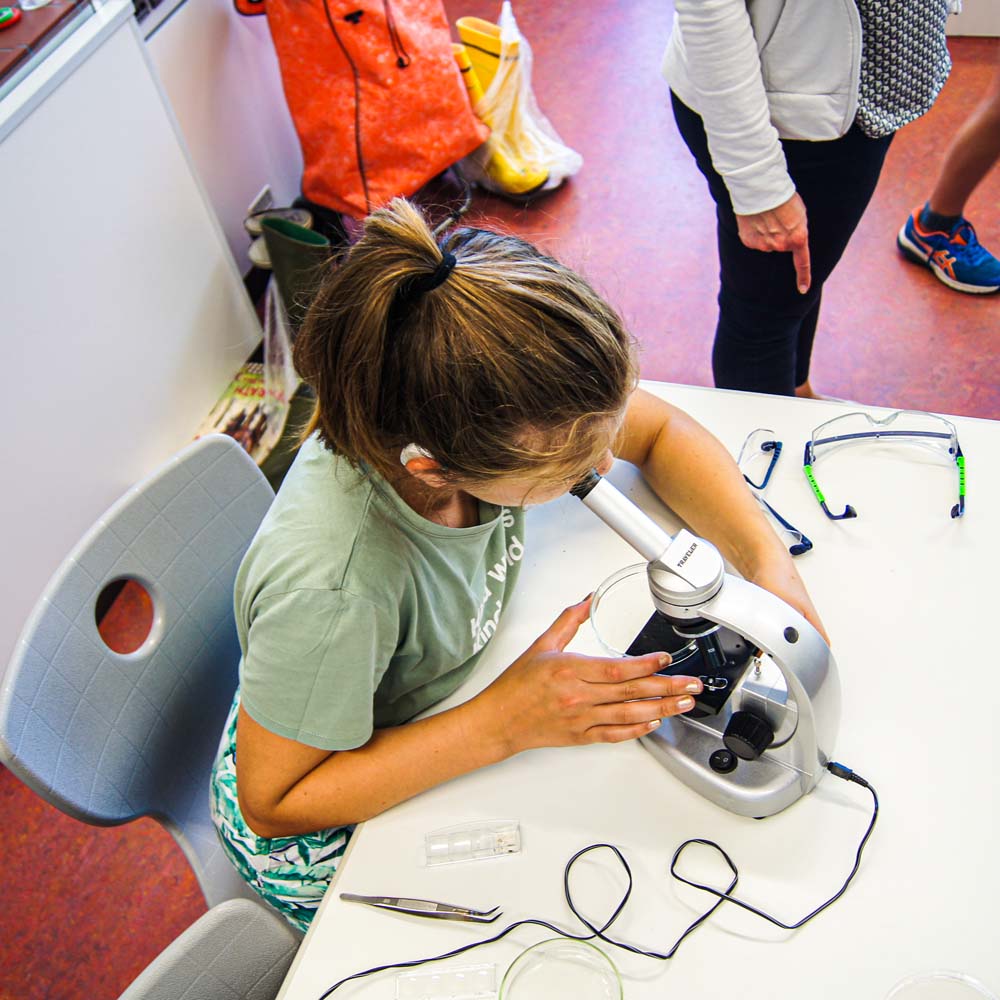 Ein junges Mädchen schaut durch ein Mikroskop.